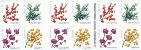 2019 Winter Berries