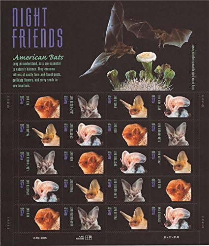 2002 Night Friends American Bats