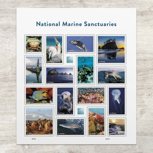 2022 National Marine Sanctuaries