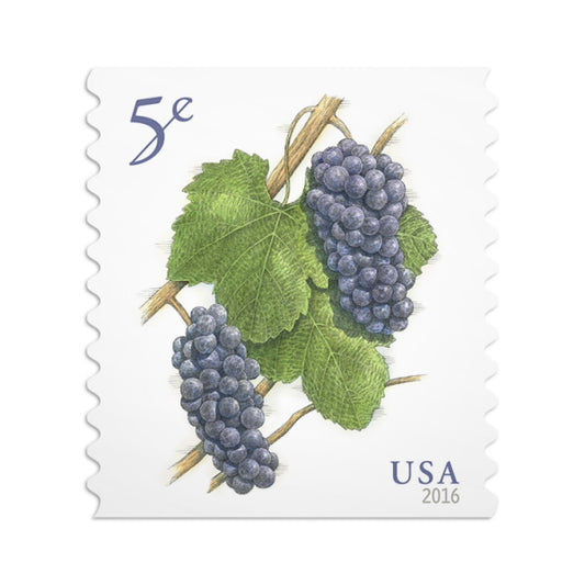 2016 Grapes