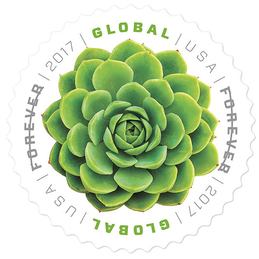 Global Green Succulent (2017)