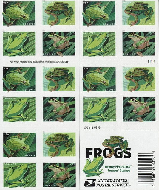 Frogs (2019)