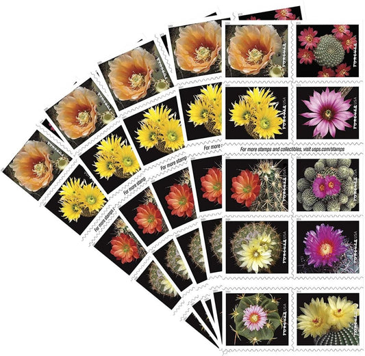 Cactus Flowers 2019, 100pcs