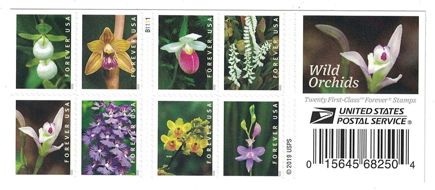 Wild Orchids, Book of 100