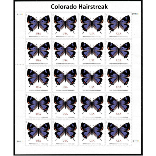 2021 Colorado Hairstreak