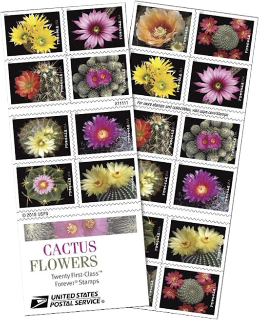 Cactus Flowers 2019, 100pcs