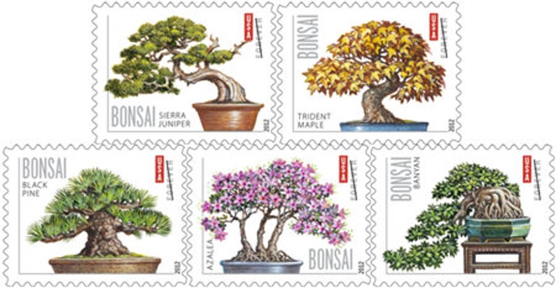 Bonsai Trees (2012)